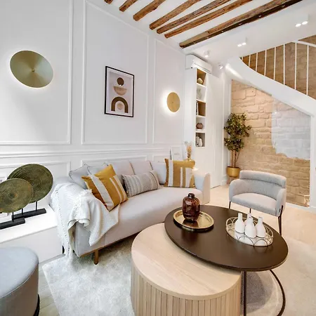 Apartment Amazing Historical Parisien Town House Next To Louvre Area